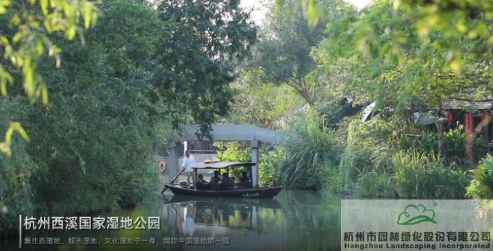 亚洲精品白浆高清久久久久久