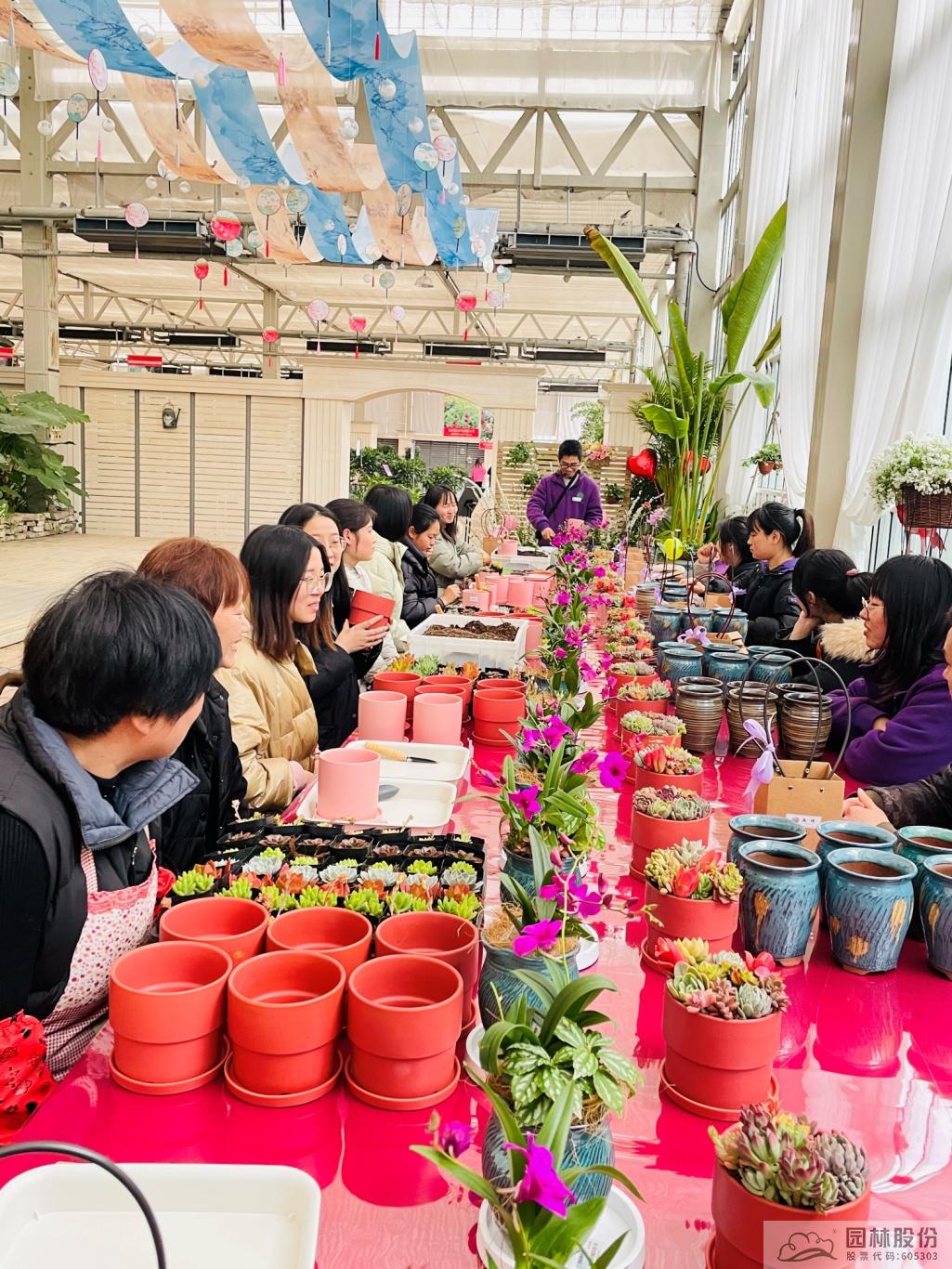 亚洲精品白浆高清久久久久久