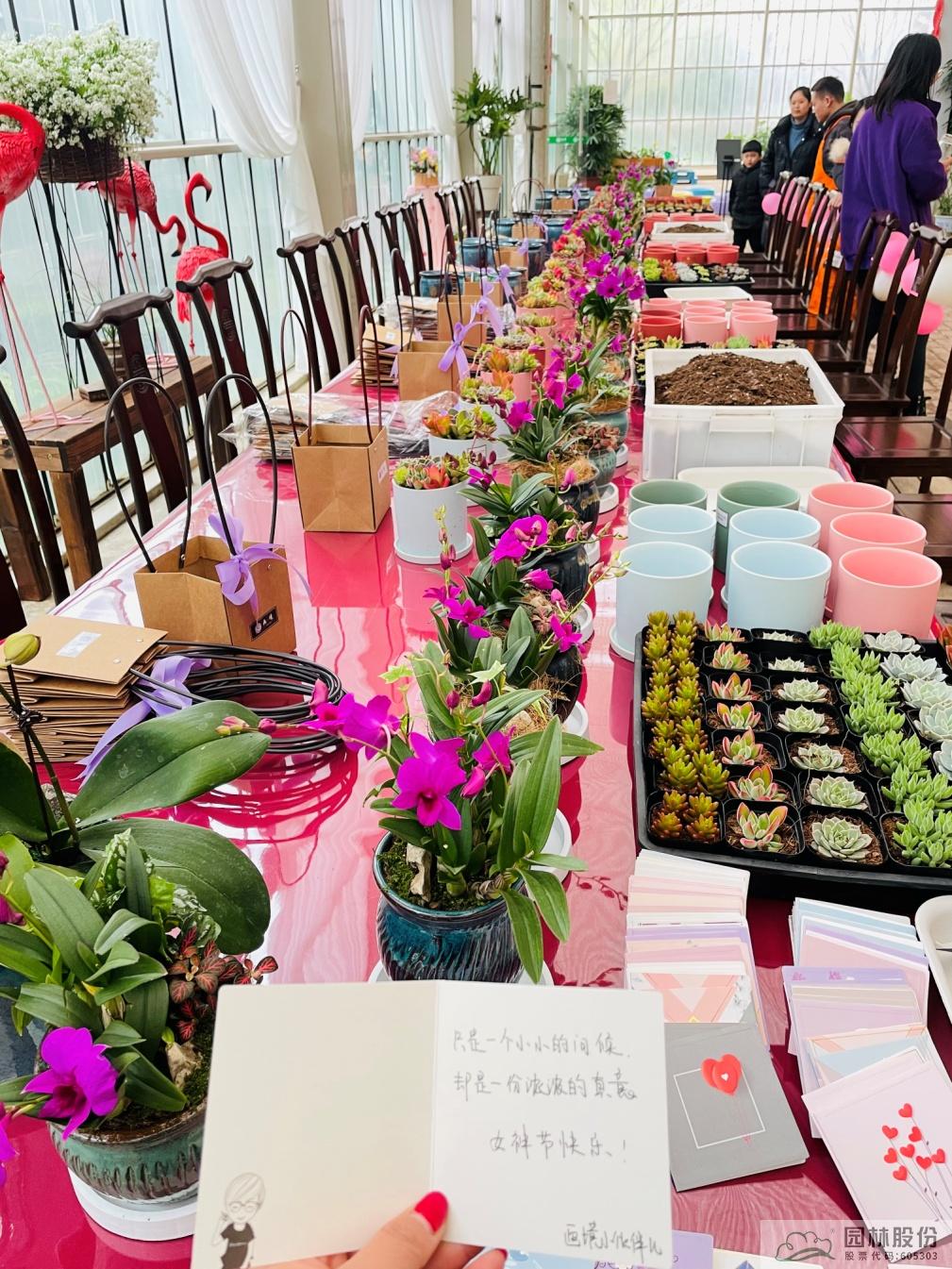 亚洲精品白浆高清久久久久久