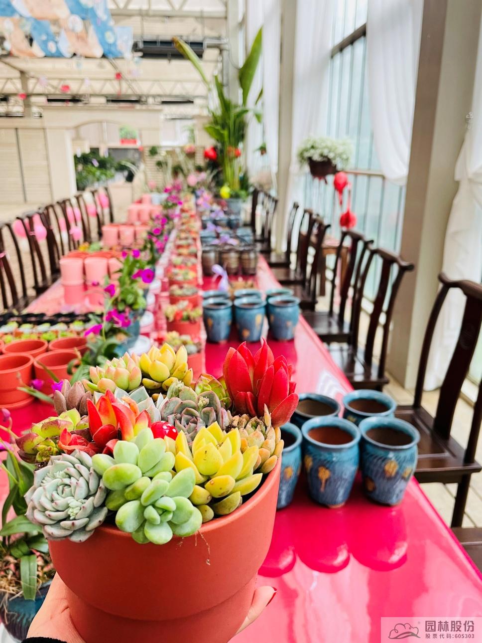 亚洲精品白浆高清久久久久久