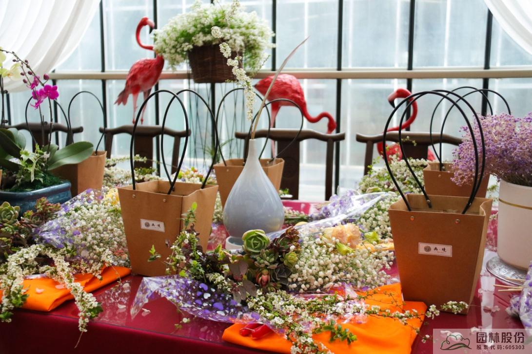 亚洲精品白浆高清久久久久久