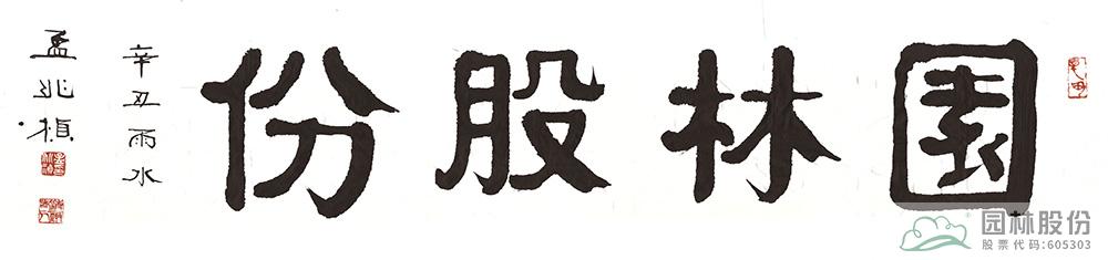 亚洲精品白浆高清久久久久久