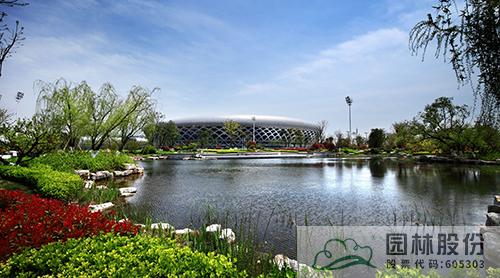 亚洲精品白浆高清久久久久久