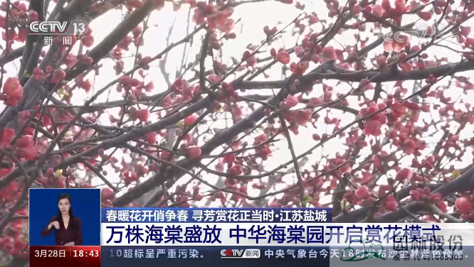 亚洲精品白浆高清久久久久久