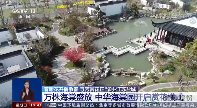 亚洲精品白浆高清久久久久久