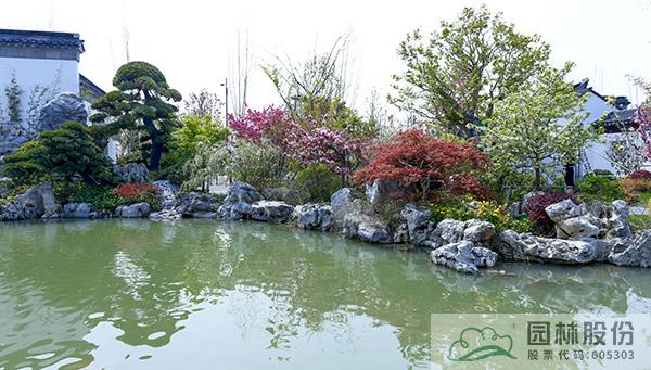 亚洲精品白浆高清久久久久久