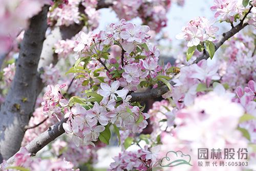 亚洲精品白浆高清久久久久久