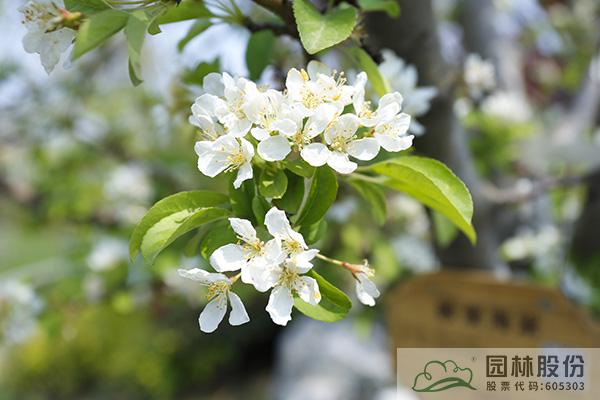 亚洲精品白浆高清久久久久久