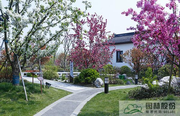 亚洲精品白浆高清久久久久久