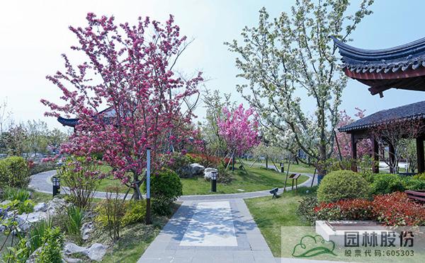 亚洲精品白浆高清久久久久久