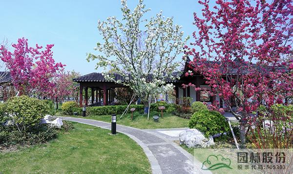 亚洲精品白浆高清久久久久久