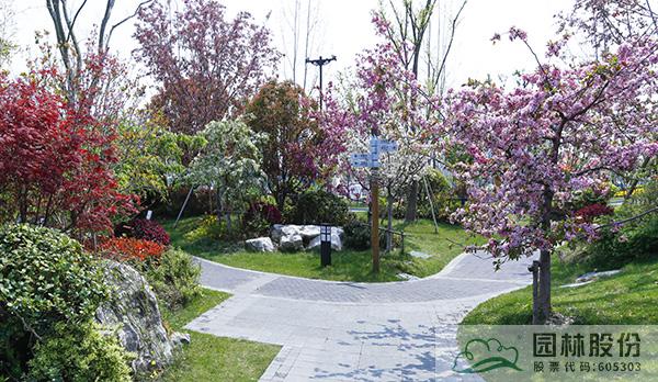 亚洲精品白浆高清久久久久久