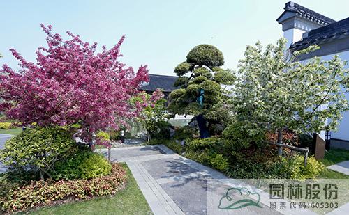 亚洲精品白浆高清久久久久久