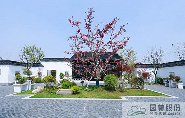 亚洲精品白浆高清久久久久久