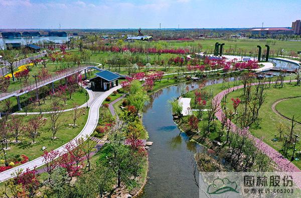 亚洲精品白浆高清久久久久久