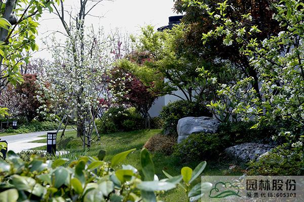 亚洲精品白浆高清久久久久久