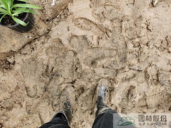 亚洲精品白浆高清久久久久久