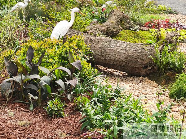 亚洲精品白浆高清久久久久久