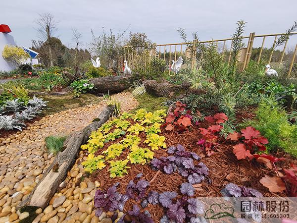 亚洲精品白浆高清久久久久久