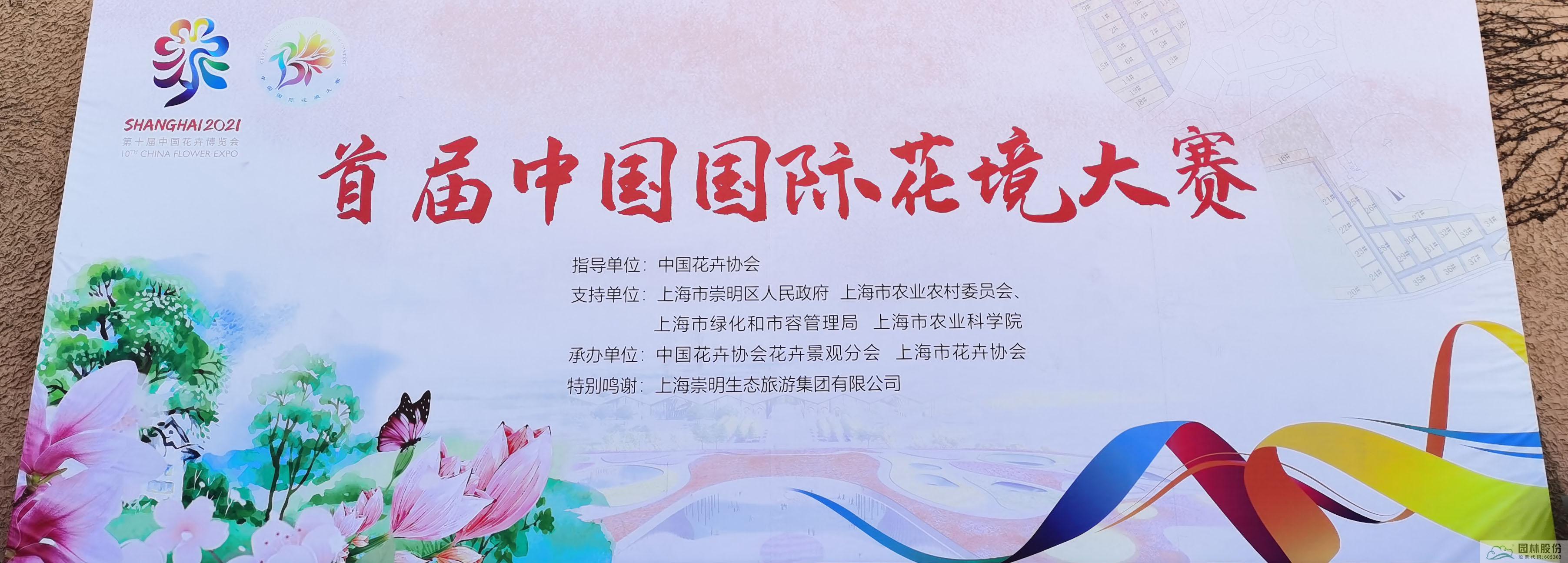 亚洲精品白浆高清久久久久久