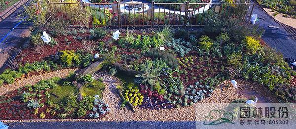 亚洲精品白浆高清久久久久久