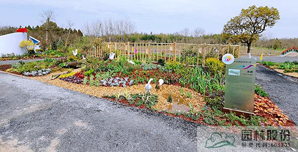 亚洲精品白浆高清久久久久久