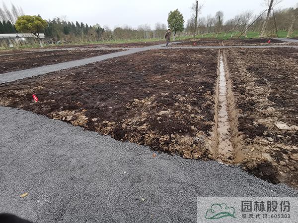 亚洲精品白浆高清久久久久久