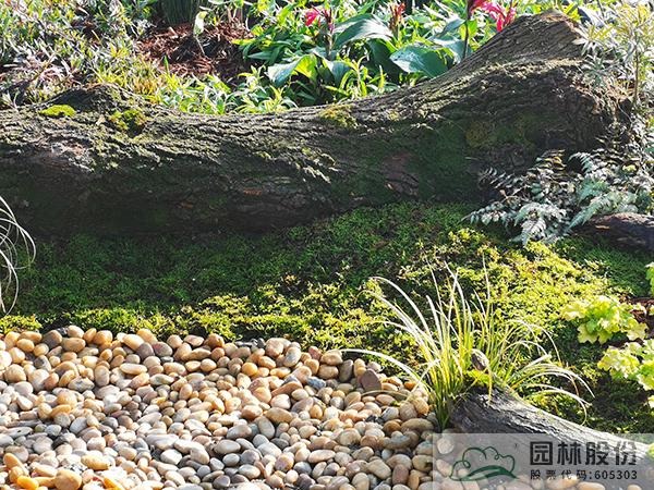 亚洲精品白浆高清久久久久久