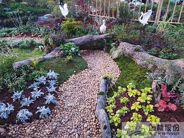 亚洲精品白浆高清久久久久久