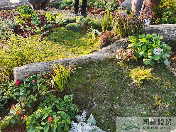 亚洲精品白浆高清久久久久久