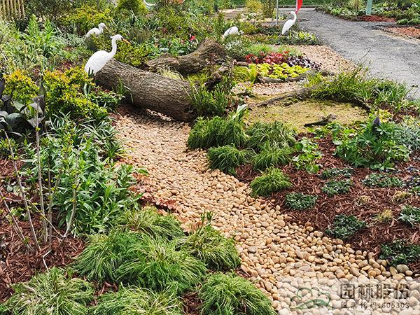 亚洲精品白浆高清久久久久久