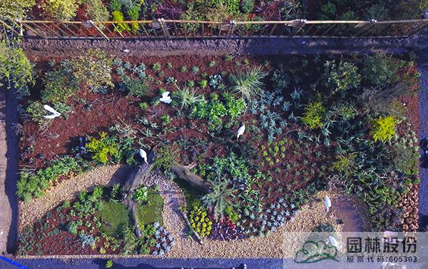 亚洲精品白浆高清久久久久久