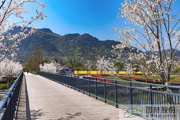 亚洲精品白浆高清久久久久久