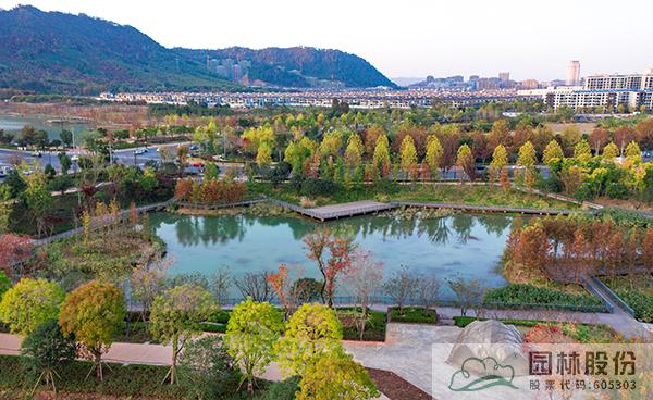 亚洲精品白浆高清久久久久久