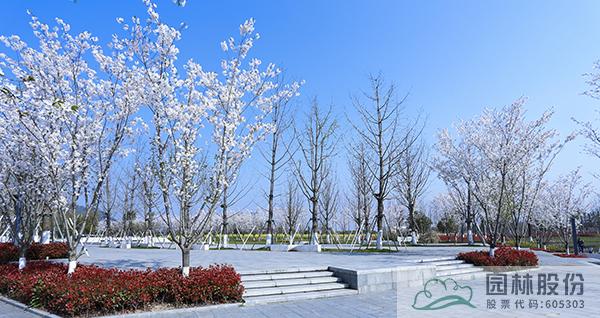 亚洲精品白浆高清久久久久久