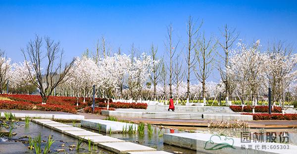 亚洲精品白浆高清久久久久久