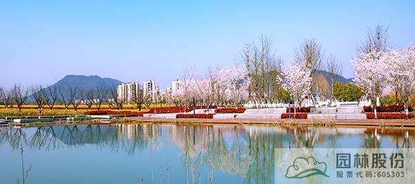 亚洲精品白浆高清久久久久久