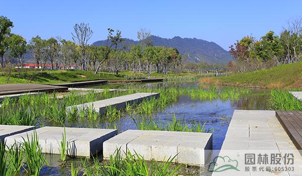 亚洲精品白浆高清久久久久久