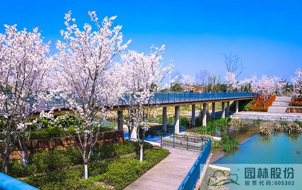 亚洲精品白浆高清久久久久久