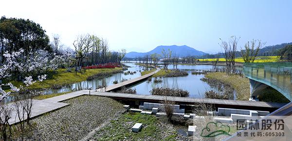 亚洲精品白浆高清久久久久久