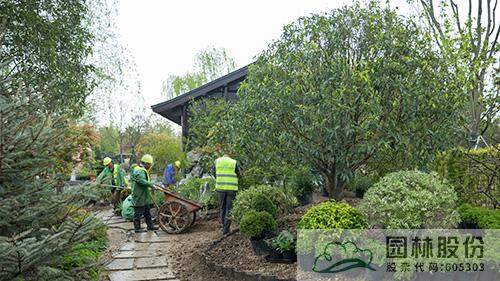 亚洲精品白浆高清久久久久久