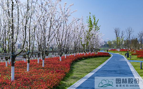 亚洲精品白浆高清久久久久久