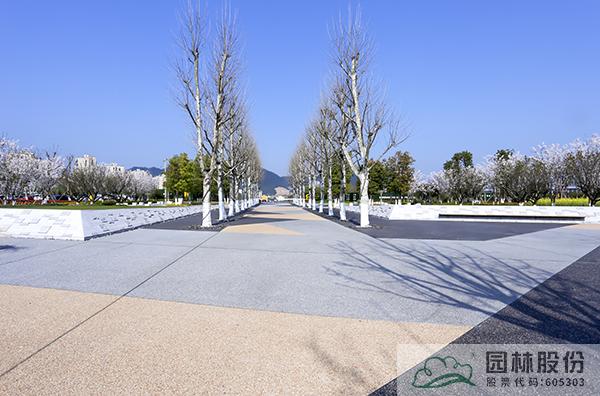 亚洲精品白浆高清久久久久久