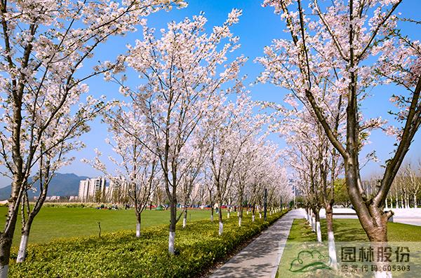 亚洲精品白浆高清久久久久久