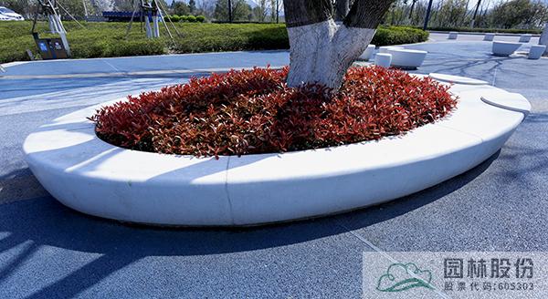 亚洲精品白浆高清久久久久久