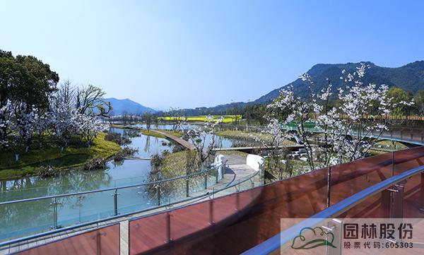 亚洲精品白浆高清久久久久久