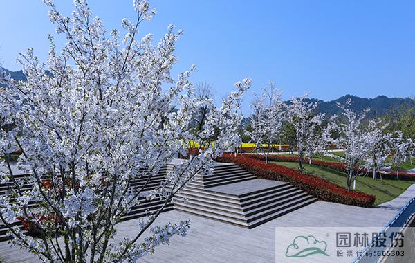 亚洲精品白浆高清久久久久久