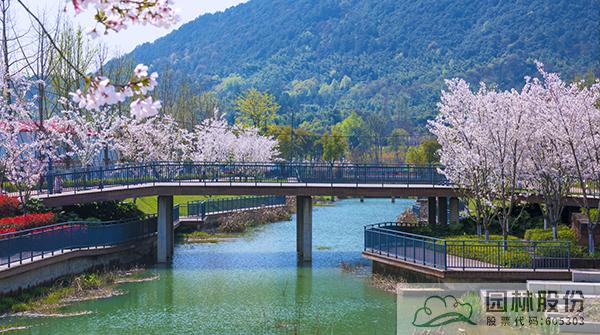 亚洲精品白浆高清久久久久久