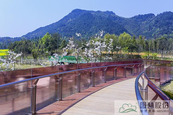 亚洲精品白浆高清久久久久久