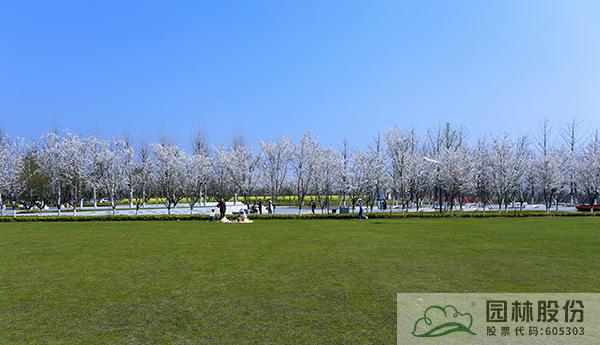 亚洲精品白浆高清久久久久久